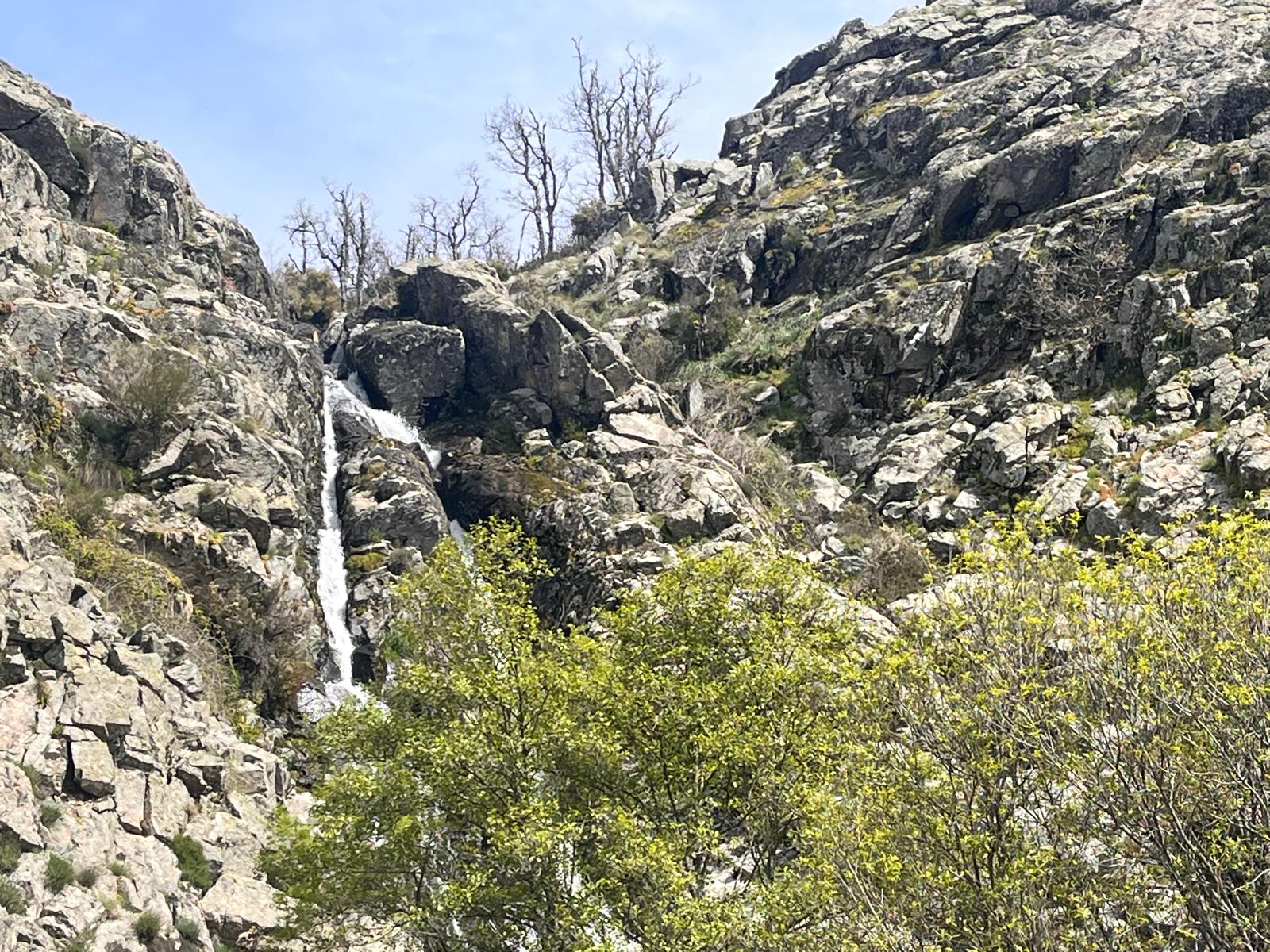IMG-20250421-WA0031