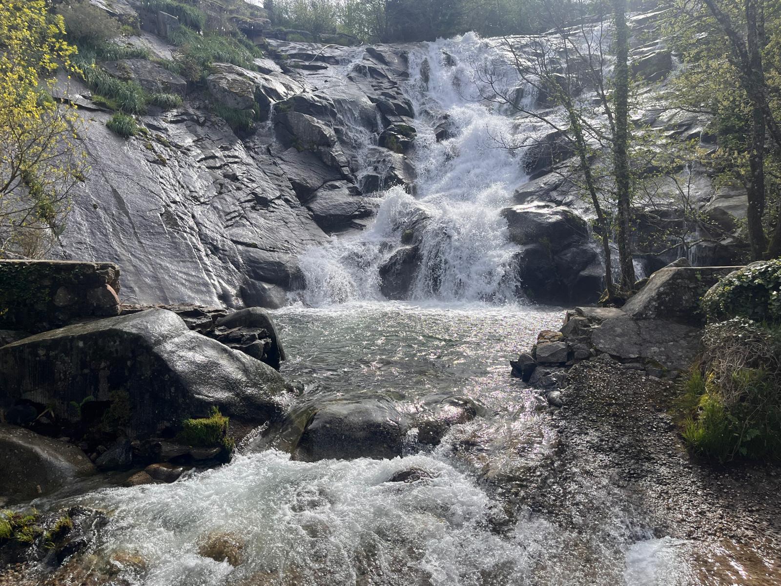 IMG-20250421-WA0009